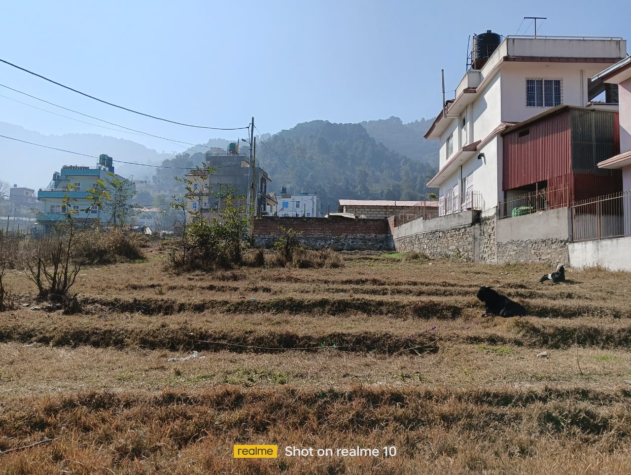 Picture of Mahalaxmi Municipality, Bagmati